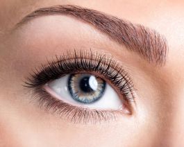 Schimmern Haselnussbraune Kontaktlinsen (90 Tage)