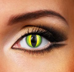 Grüne Drachen Kontaktlinsen (90 Tage)